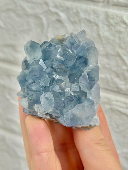 You pick! Incredible high-grade Celestine specimens from Afghanistan