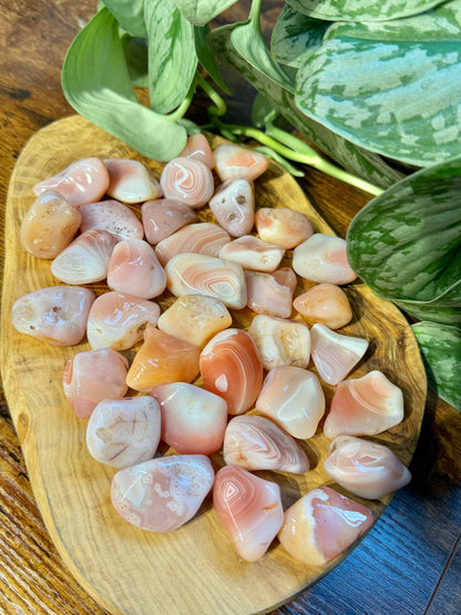 1 stunning apricot agate tumble