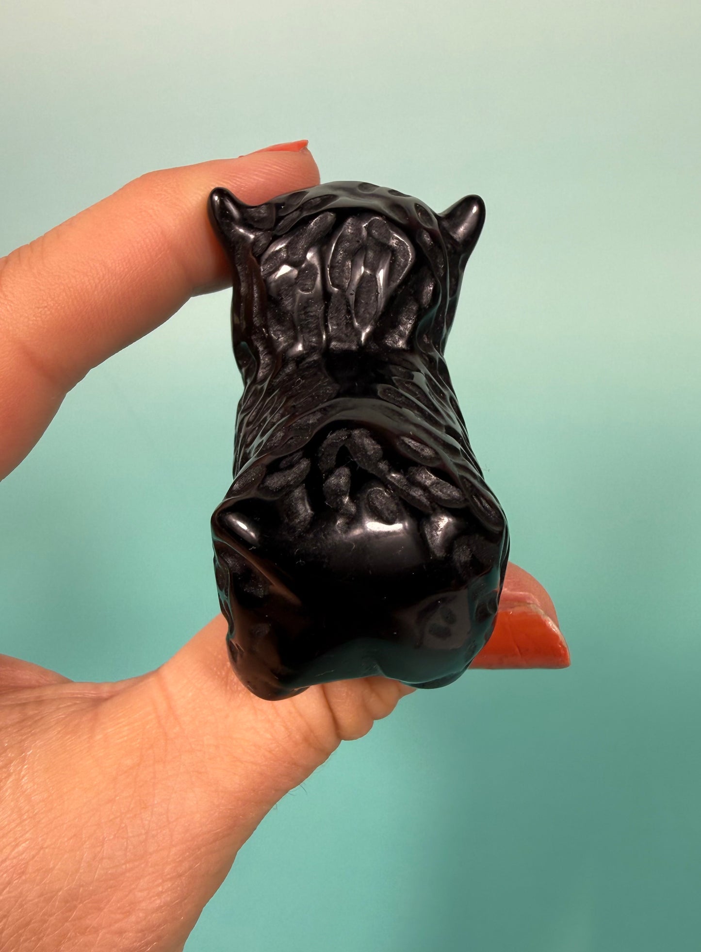 Black obsidian Highland cow