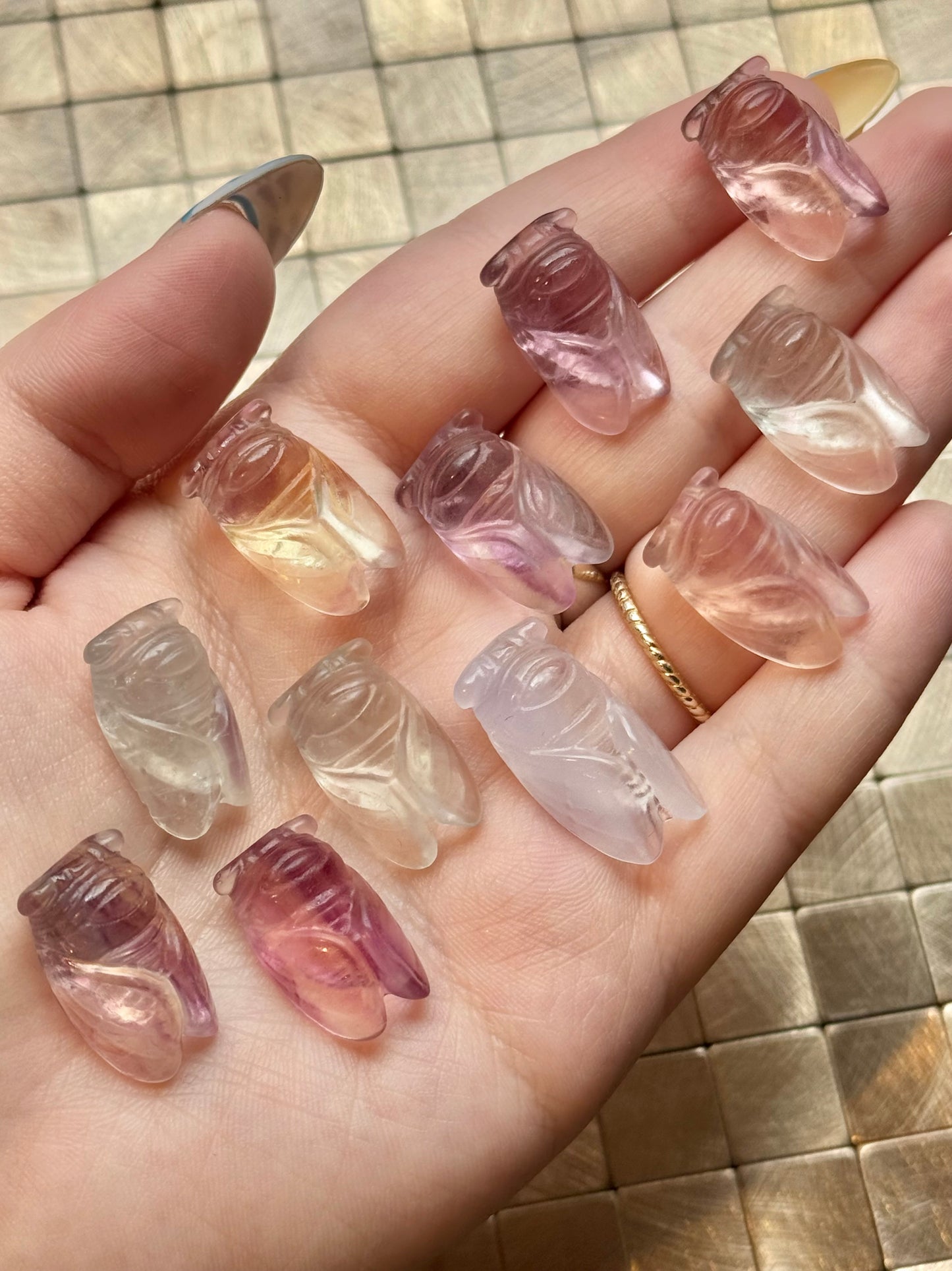 1 intuitive fluorite mini Cicada