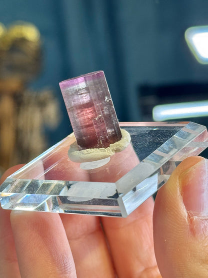You pick! Juicy watermelon tourmaline specimens from Afghanistan