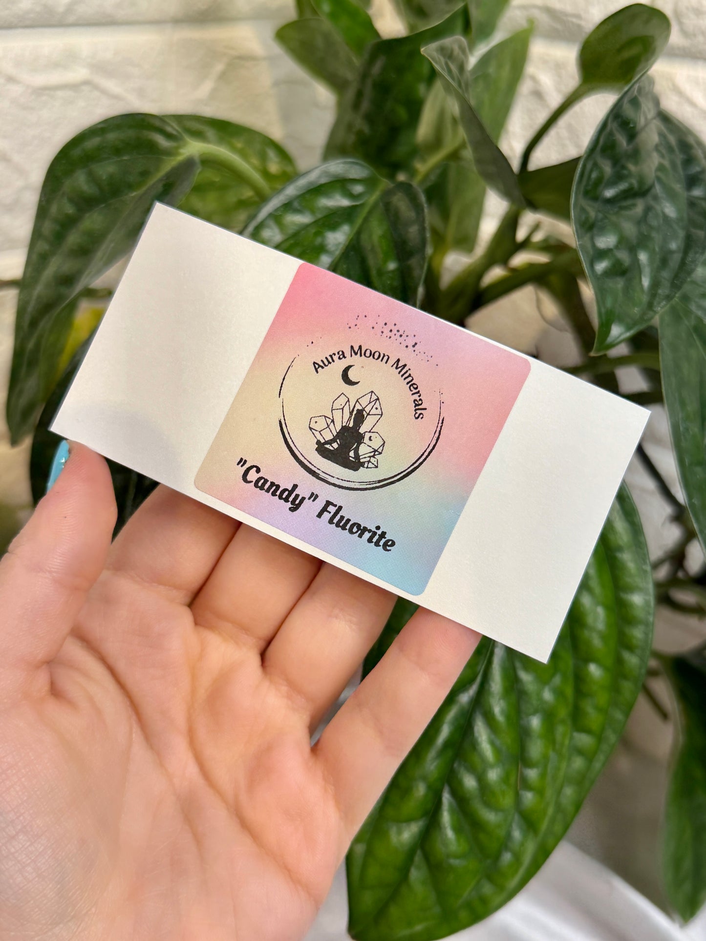 1 auramoon candy fluorite teardrop pack