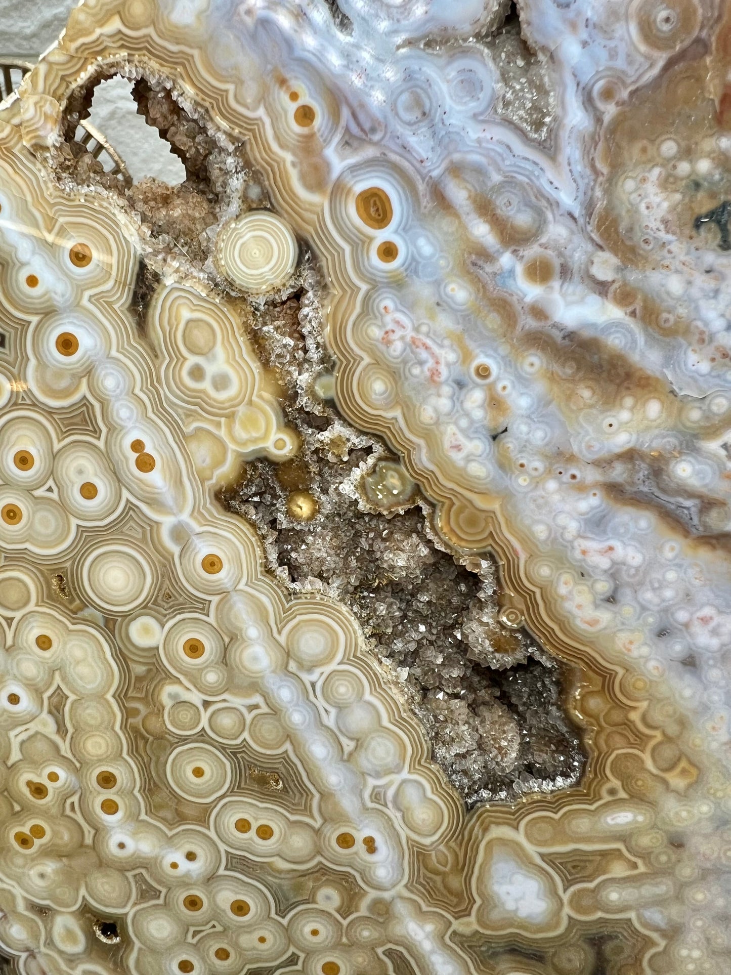 AAA yellow druzy orbicular ocean jasper slab from Madagascar