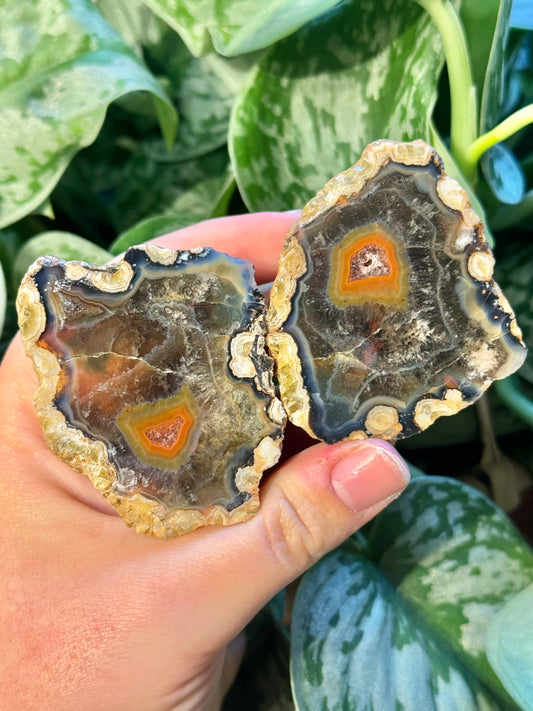 Unique Condor agate pair from Argentina