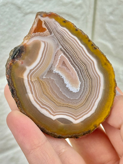 You pick! Stunning Zhanguo agates from China