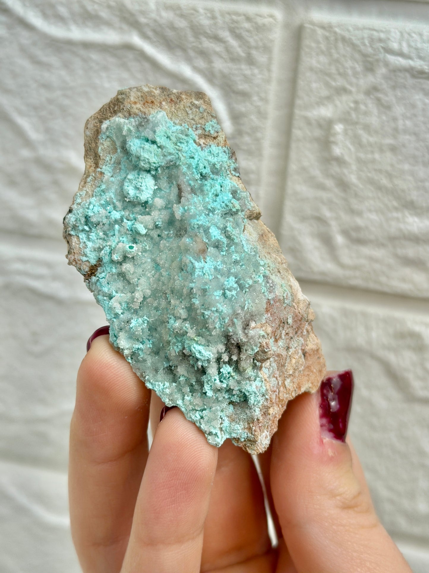 You pick! Aurichalcite specimens from Nevada