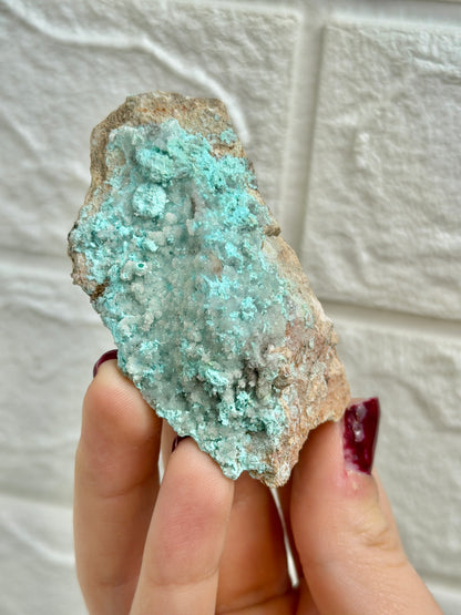 You pick! Aurichalcite specimens from Nevada