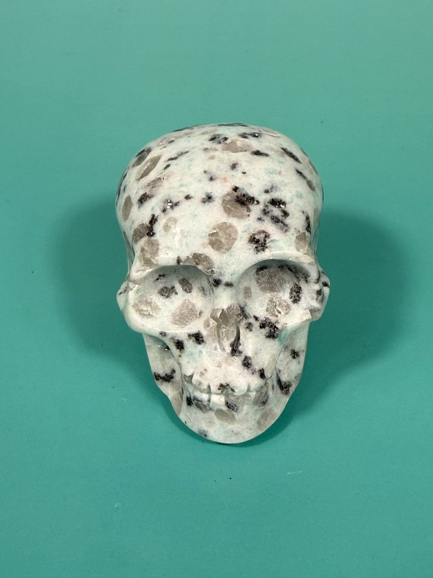Kiwi jasper skull
