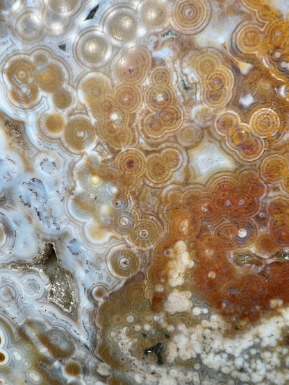 AAA yellow druzy orbicular ocean jasper slab from Madagascar