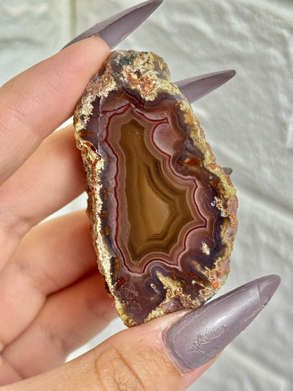 You pick! Insane Laguna agates from Chihuahua Mexico
