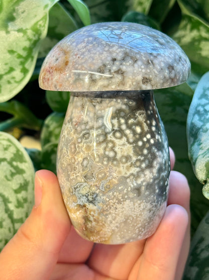 Pastel sea jasper mushroom