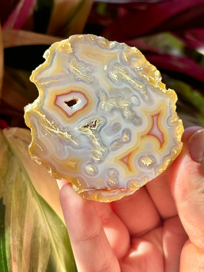 Mossy laguna agate D