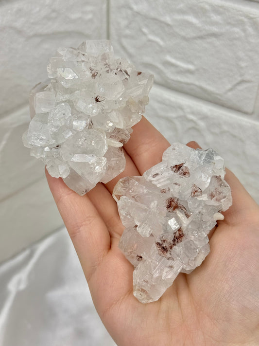 You pick! Diamond apophyllite specimen with red stillbite from India