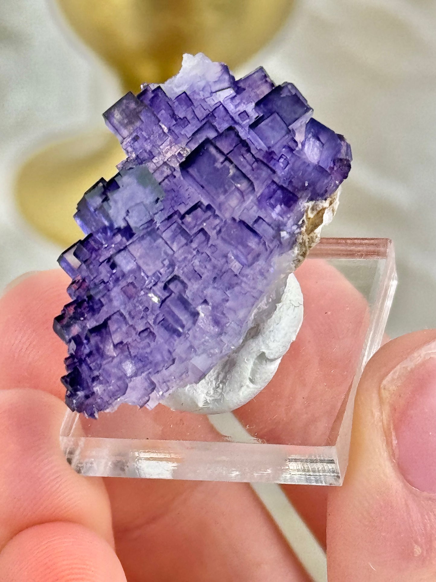 You pick! Deep purple fluorites from the Tule mine in Mexico