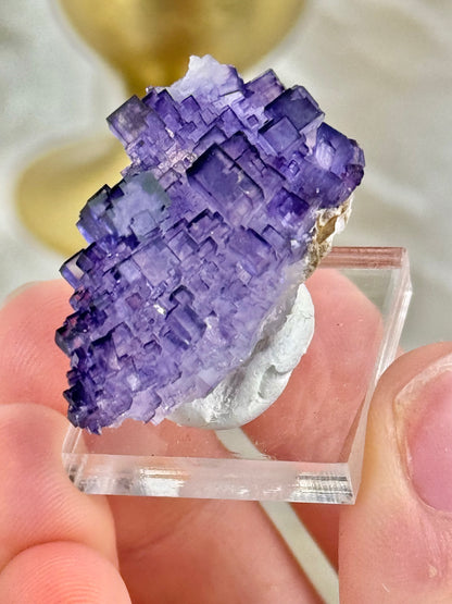 You pick! Deep purple fluorites from the Tule mine in Mexico