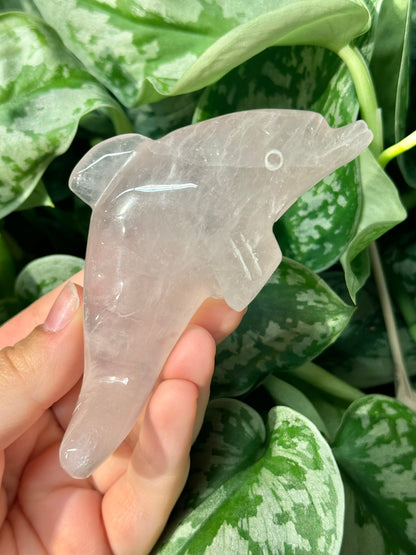 Cute rose quartz dolphin G