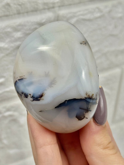 You pick! Dendritic agate Freeform’s