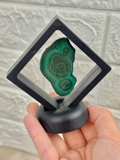 You pick! Malachite slabs in black case