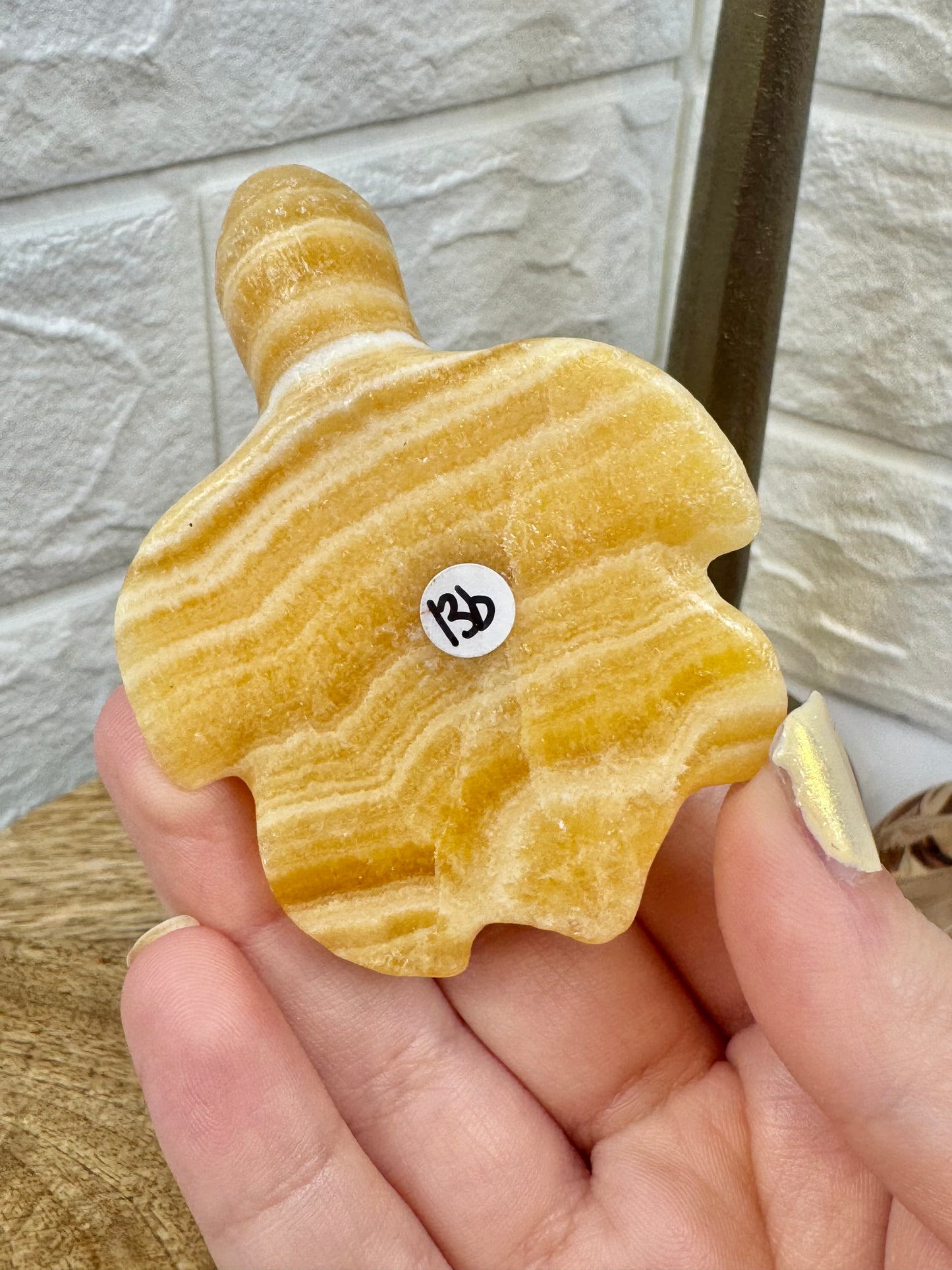 Adorable orange calcite sea turtle