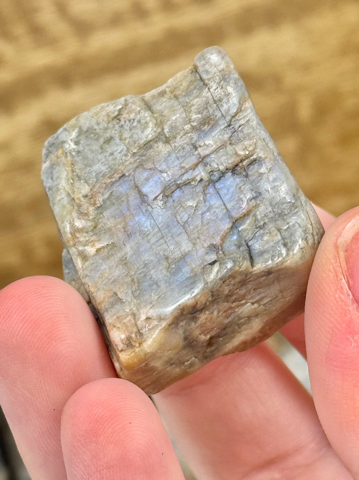 1 raw piece of blue moonstone from Wisconsin