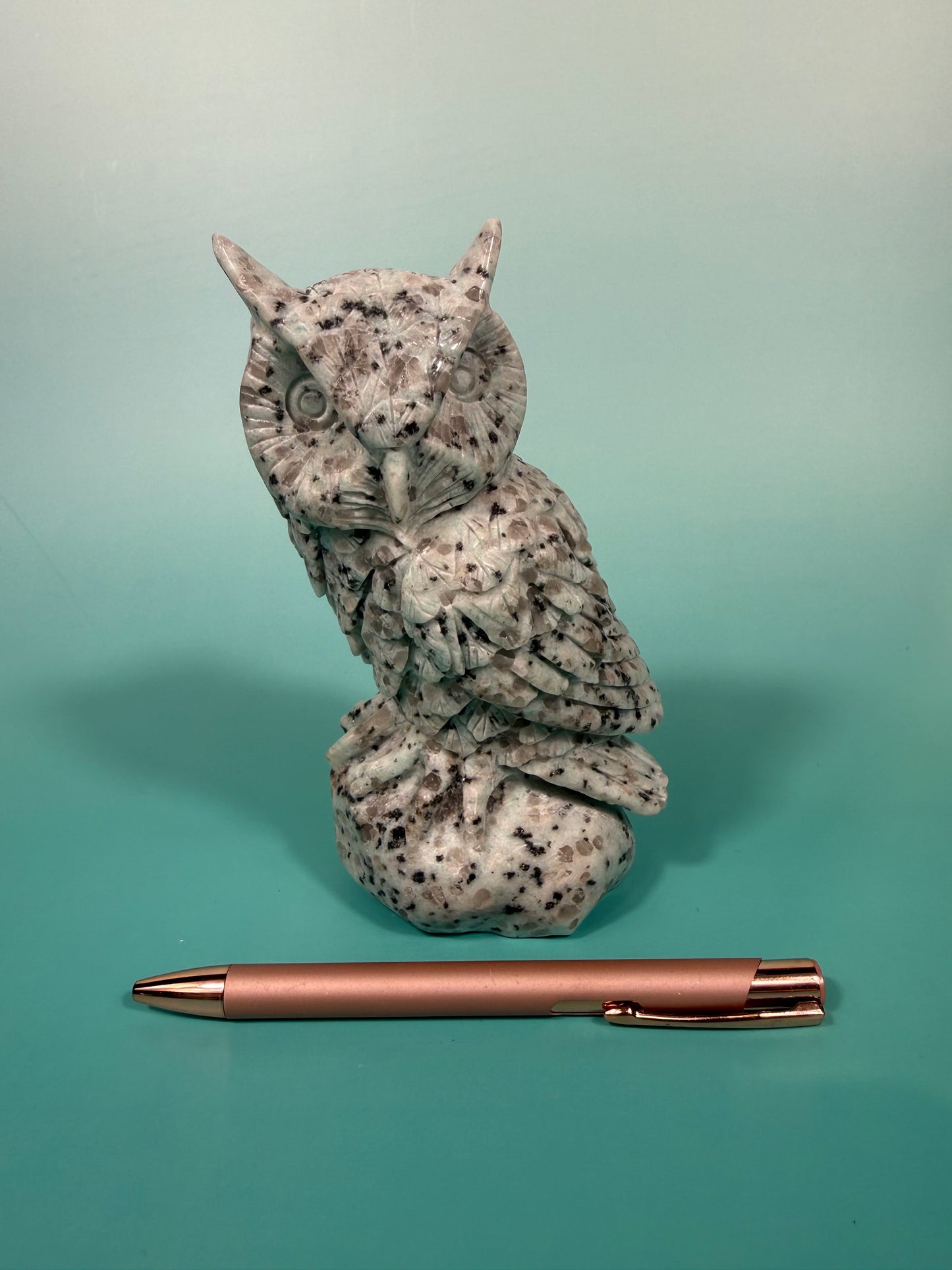 LG kiwi jasper owl A