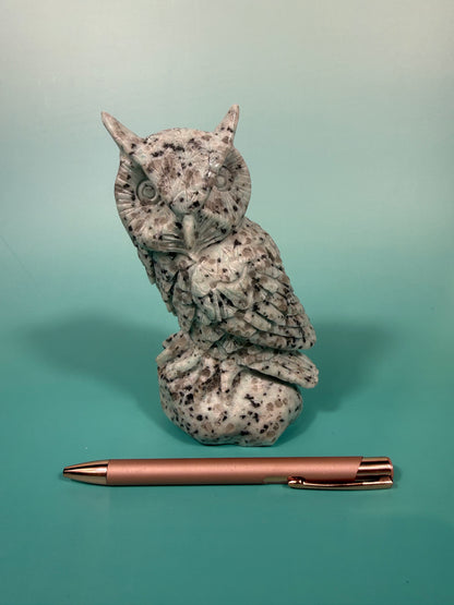 LG kiwi jasper owl A