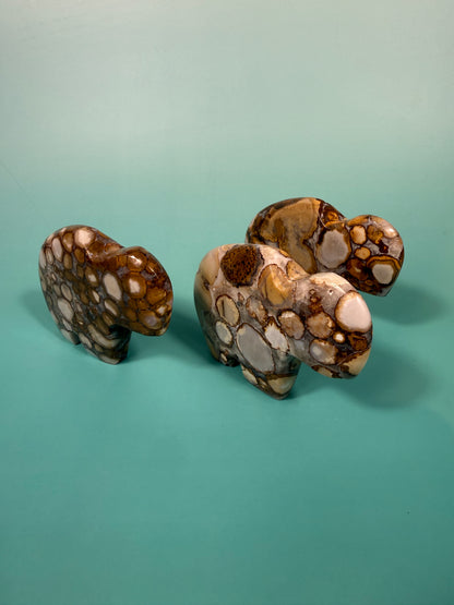 Cobra jasper buffalo