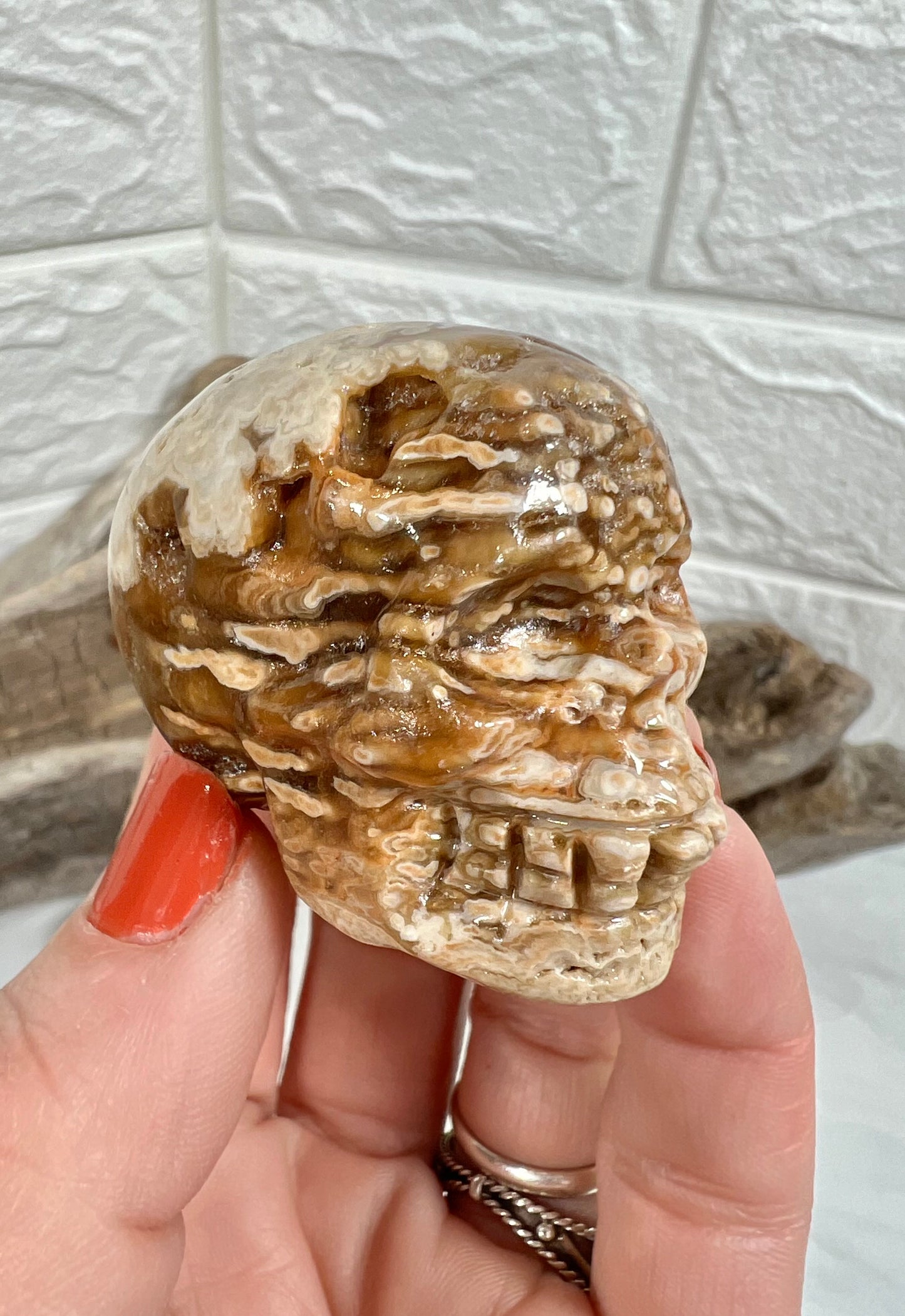 1 chocolate calcite skull