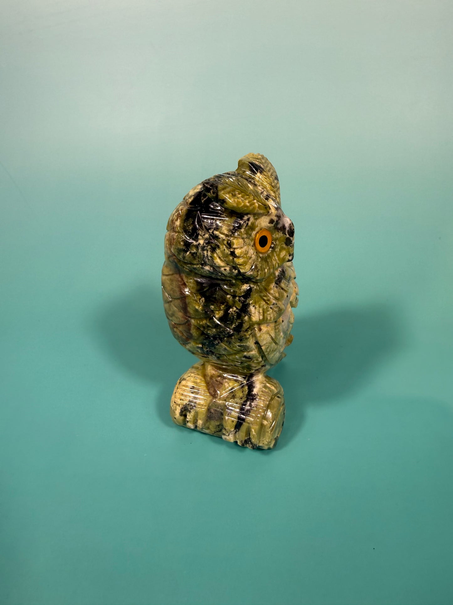 Peruvian serpentine owl