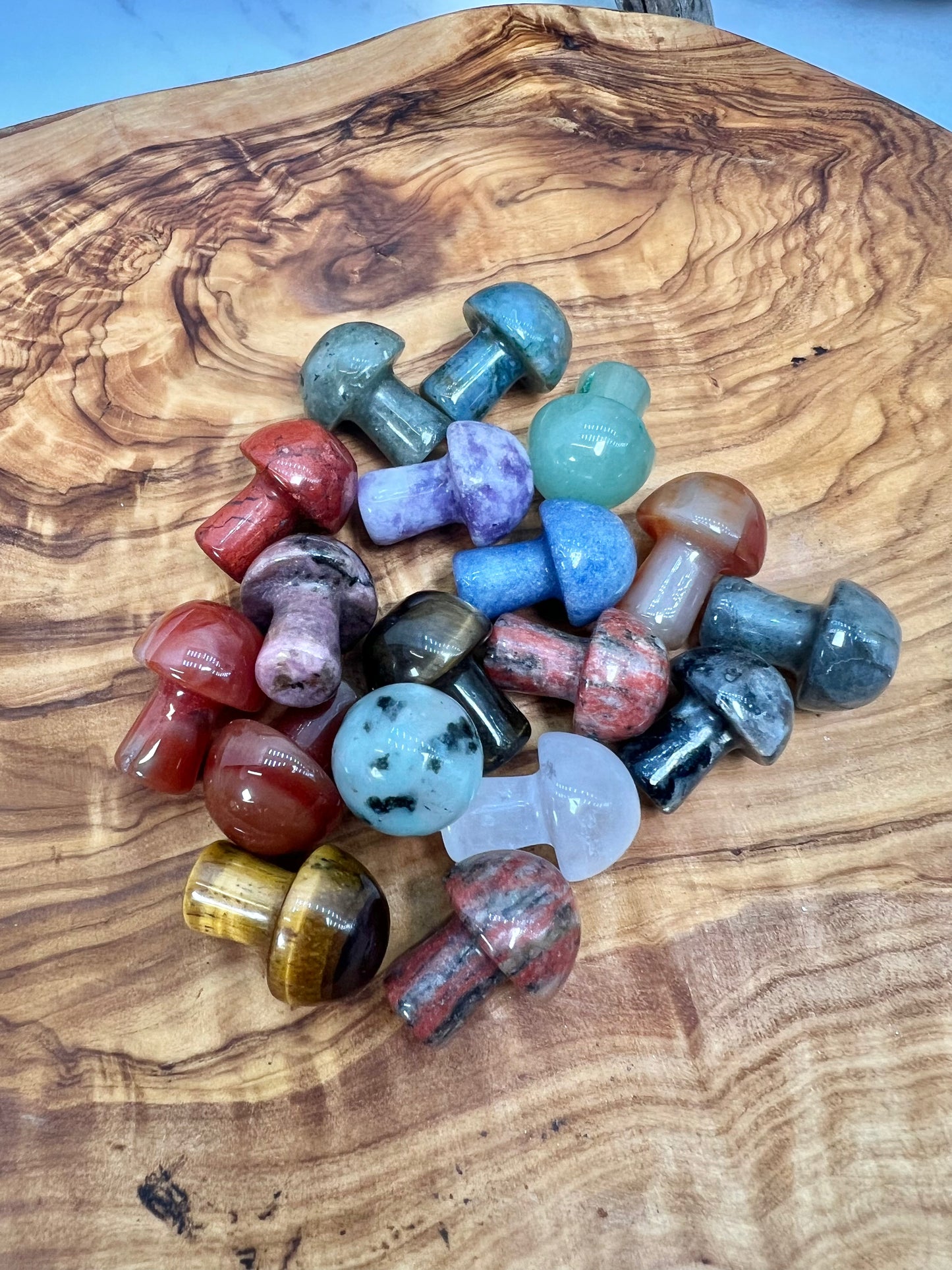 1 mystery mini mushroom