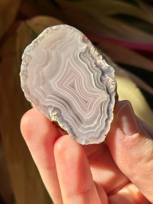 Pink/white laguna agate F