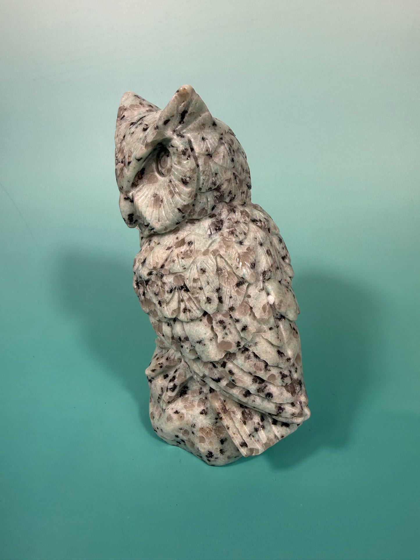 LG kiwi jasper owl B