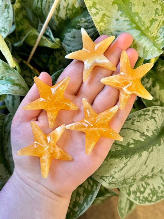 1 cute orange calcite starfish