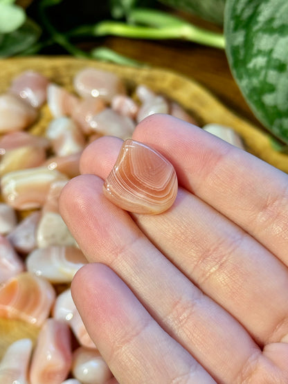 1 XS apricot agate tumble