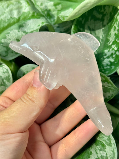 Cute rose quartz dolphin G