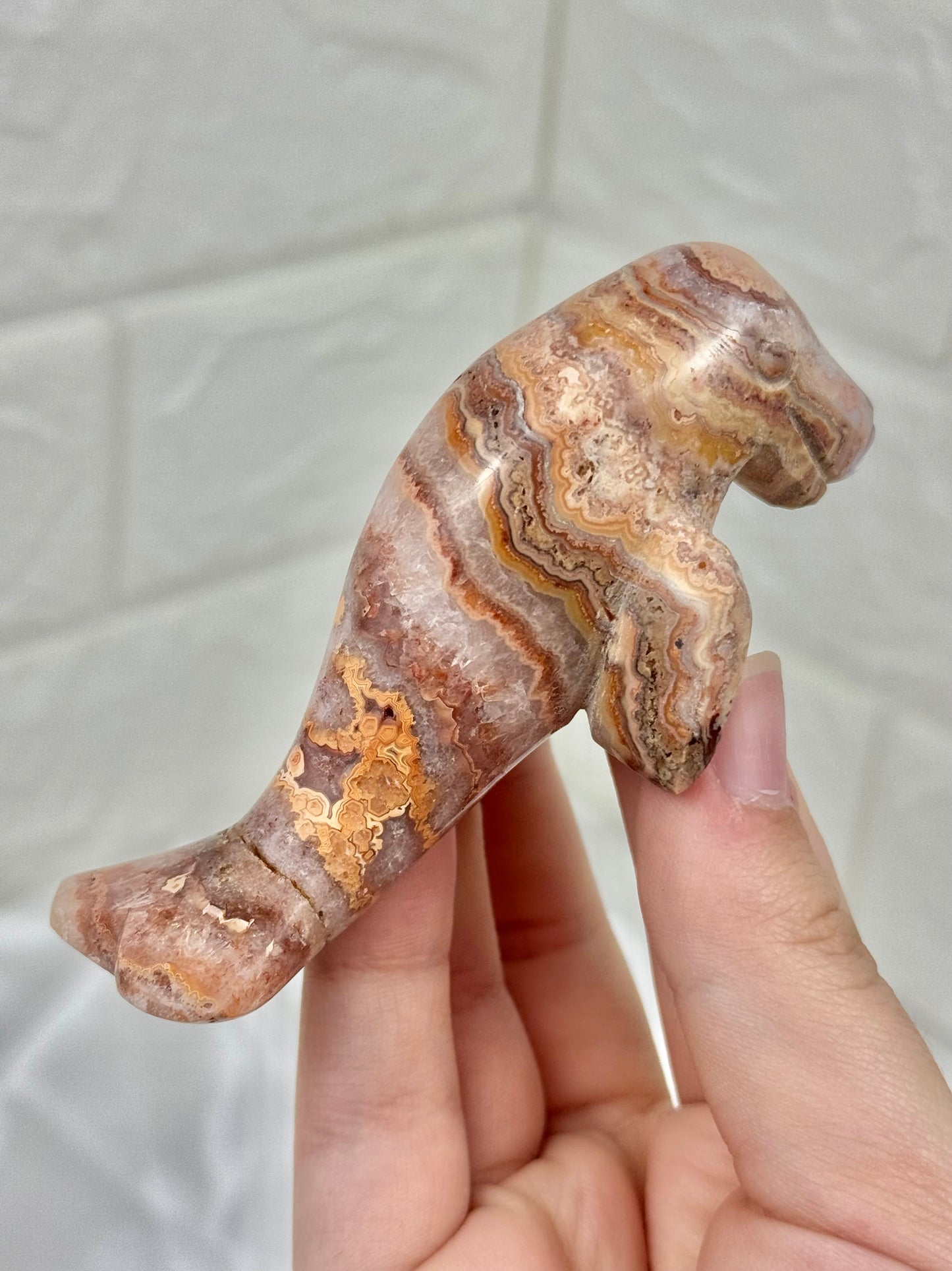 1 adorable pink crazy lace agate manatee