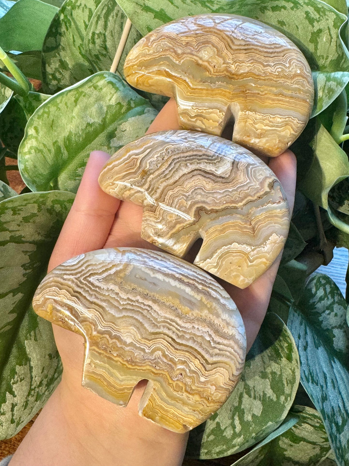 1 LG intuitive yellow crazy lace agate bear from Indonesia