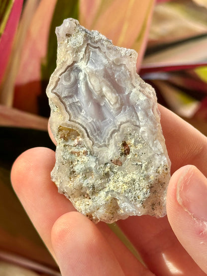 Small Airy laguna agate VV