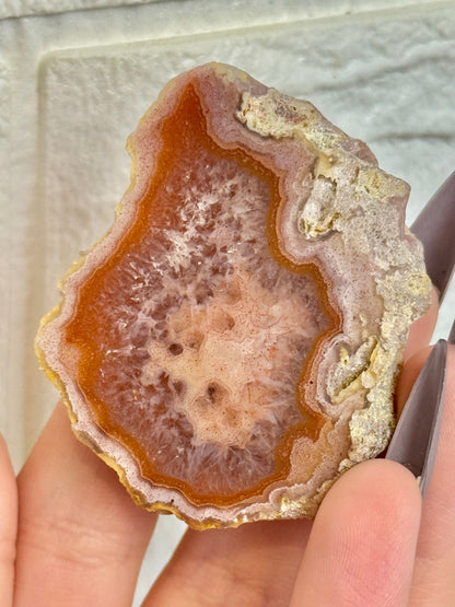 You pick! Stunning Laguna agates from Chihuahua Mexico