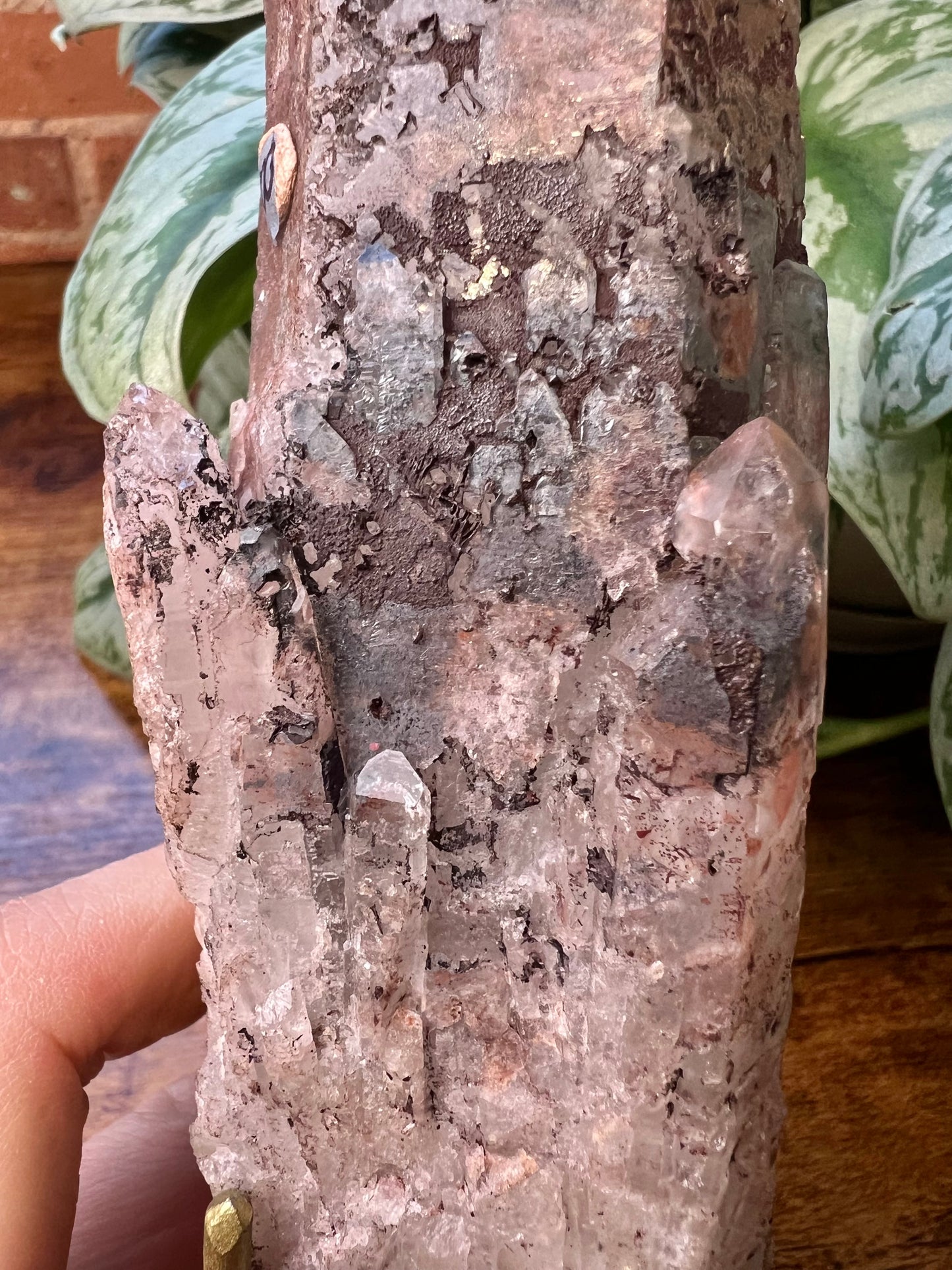 XL Hematite dragon quartz from Brazil OO (natural imperfection)