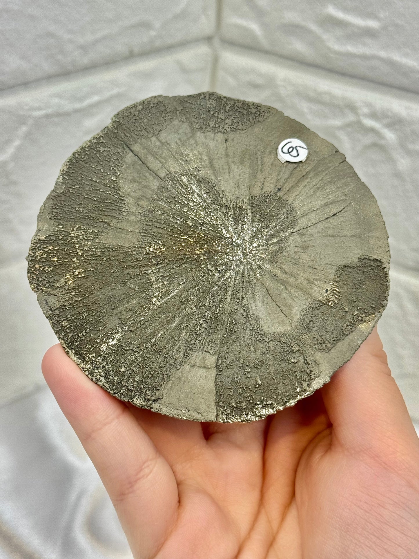 Beautiful pyrite sun from Illinois