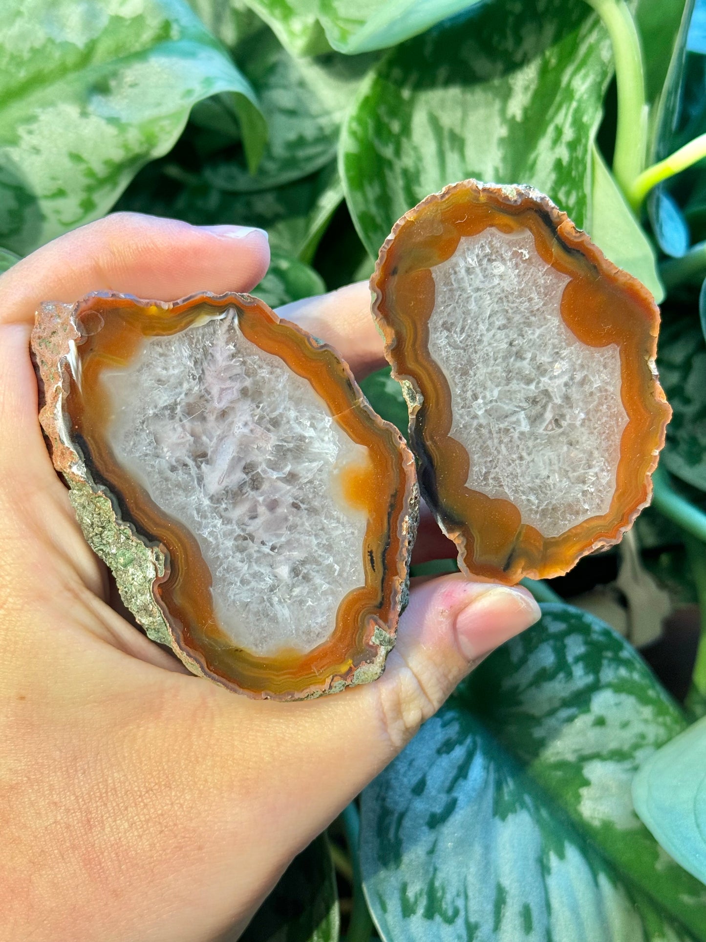 Quartz filled Condor agate pair from Argentina