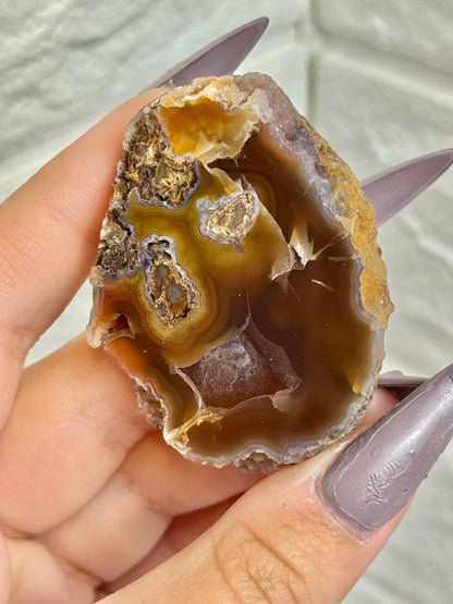 You pick! Beautiful fall toned Laguna agates from Chihuahua Mexico