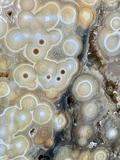 AAA yellow druzy orbicular ocean jasper slab from Madagascar