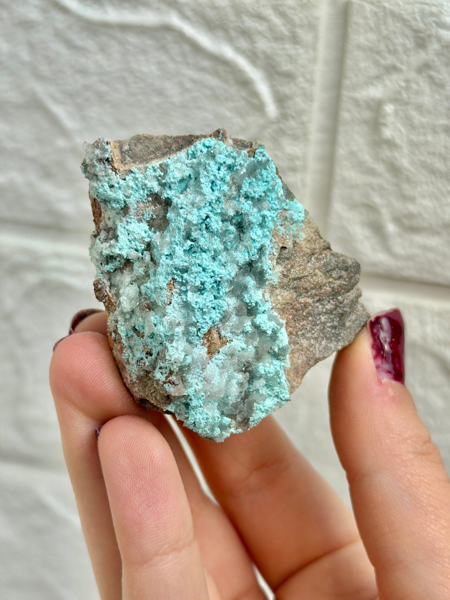 You pick! Aurichalcite specimens from Nevada
