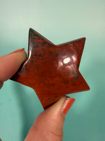 1 colorful sea jasper star