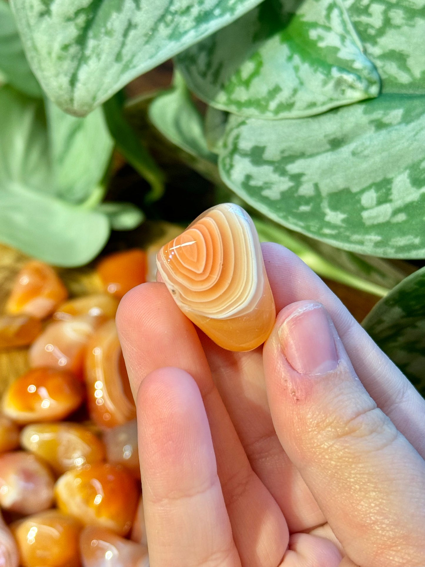 1 SM banded carnelian tumble