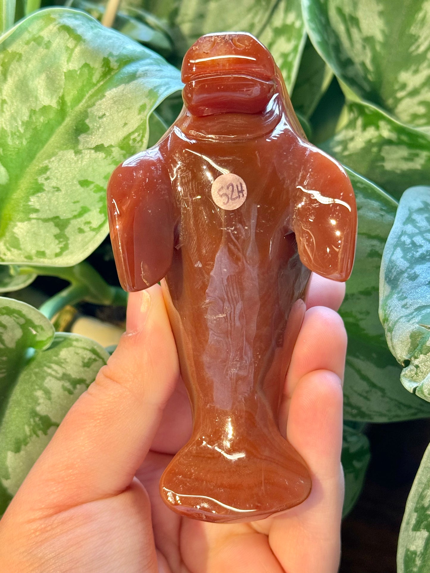 Heated carnelian manatee H