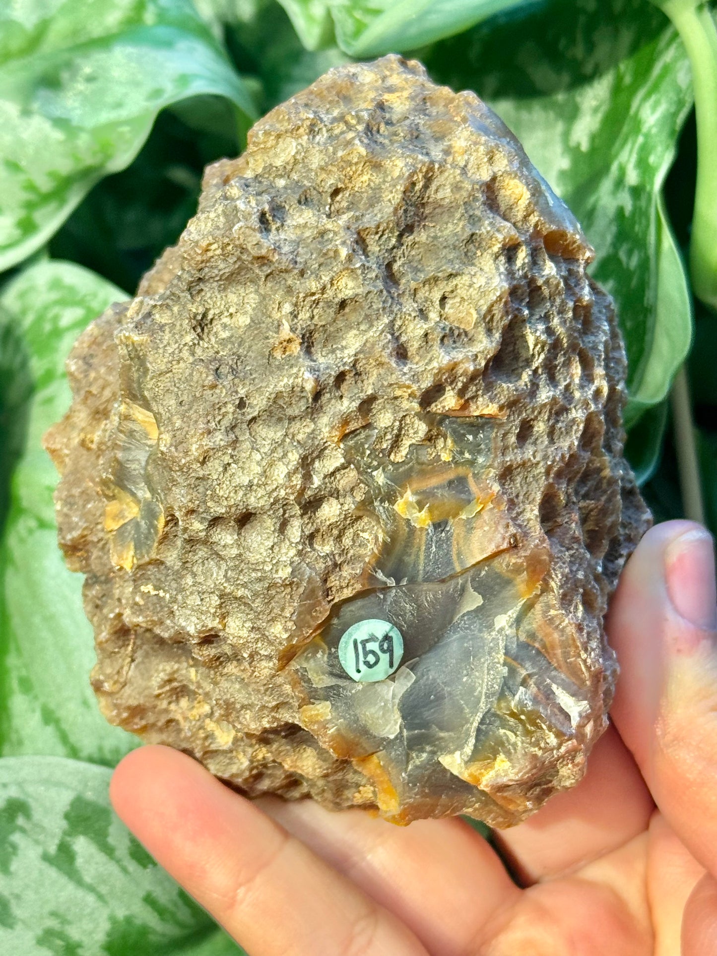 High quality banded Condor agate from Argentina