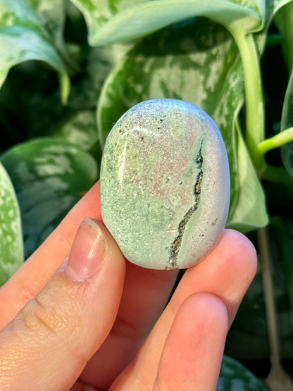 1 pastel unicorn jasper palm stone from India D